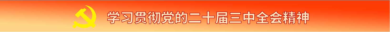 學(xué)習(xí)貫徹黨的二十屆三中全會(huì)精神